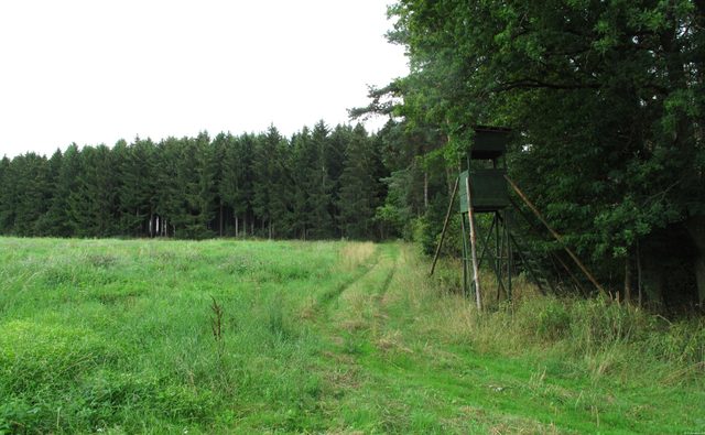 Ein Quellgebiet des kleinen Eichelbachs