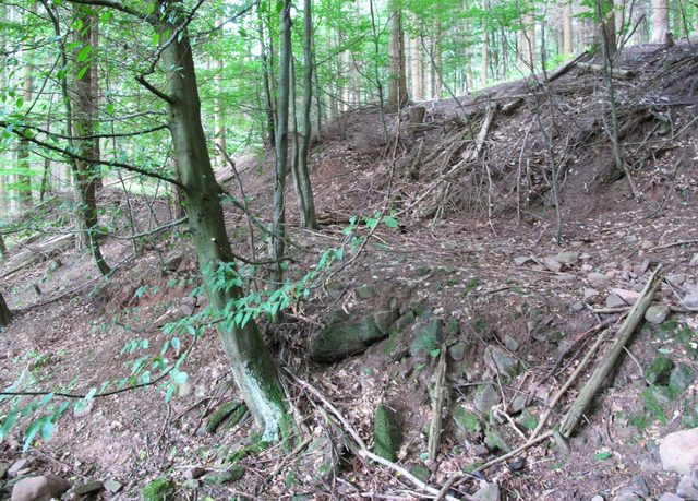 Ein alter Weg quert den Eichelbachgraben
