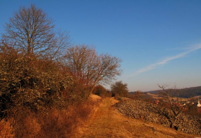 Der mittlere Weg am Südhang des Mühlbergs