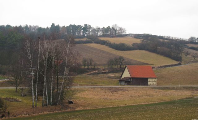Balbachtal am östl. Ortsrand von Oberbalbach