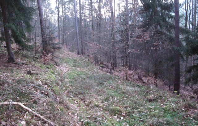 Aufgegebener Weg am Nordhang des Eichbergs
