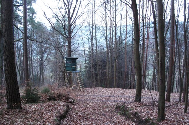 Abstieg am Nordhang des Eichbergs