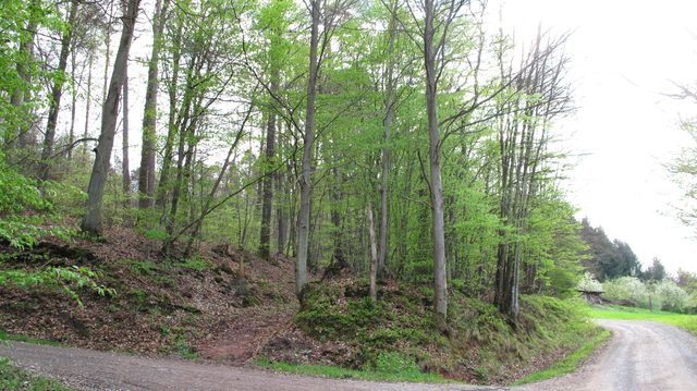 Die alte und die neue Steige von Pfohlbach hoch nach Guggenberg