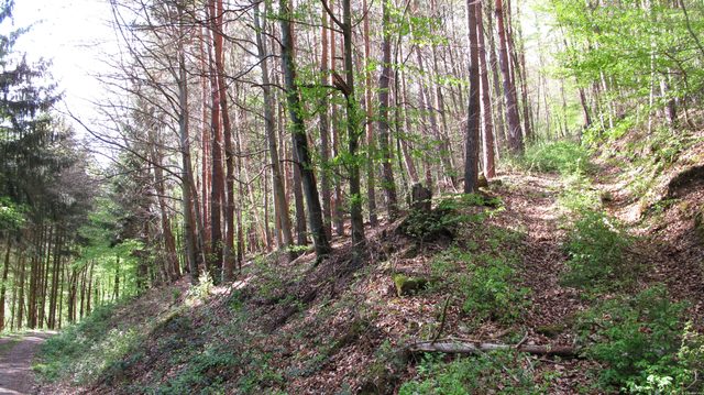 Abzweigung eines Weges nach Nordwesten