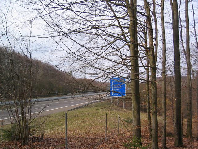 Irtenberger Wald - Straßenholz / Lochacker (bei A81)