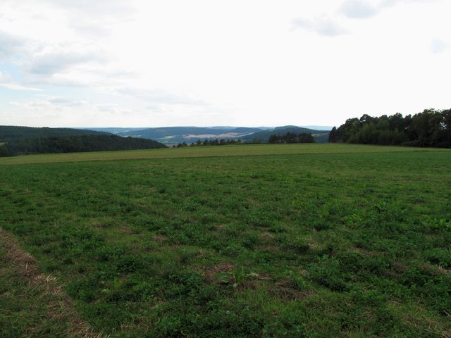 bei Böttigheim: NSG Kreuzberg / Hohenberg