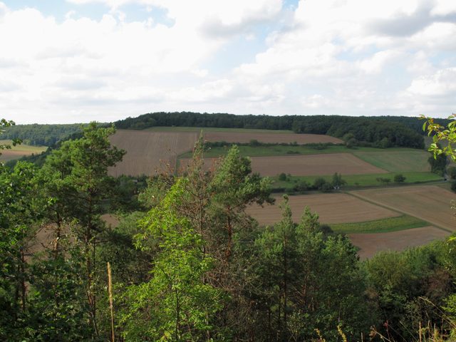 bei Böttigheim: NSG Kreuzberg / Hohenberg