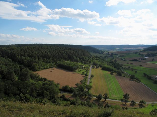 bei Böttigheim: NSG Kreuzberg / Hohenberg