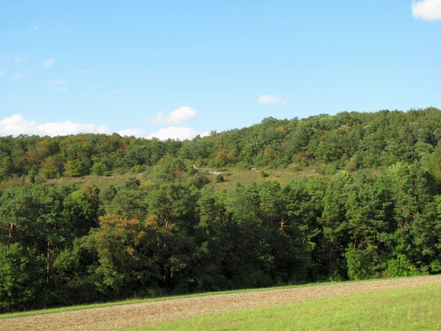 bei Böttigheim: NSG Kreuzberg / Hohenberg: Blick zum Elsberg