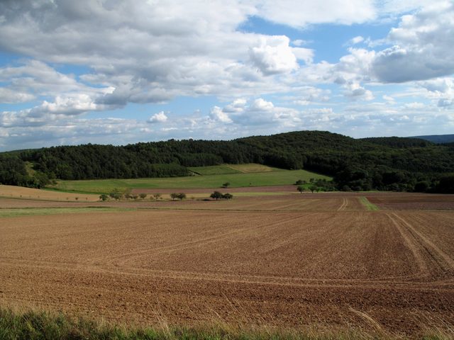bei Böttigheim: NSG Hirschberg (Panorama 8/9)