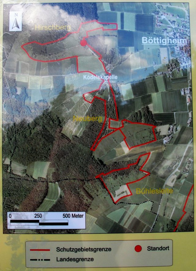 bei Böttigheim: NSG Hirschberg (Panorama 1/9)