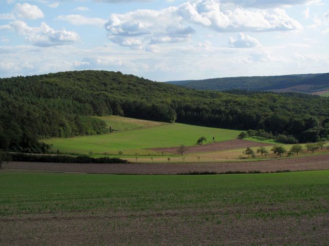 bei Böttigheim: NSG Hirschberg (Panorama 3/10)