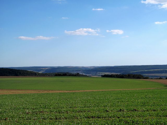 bei Böttigheim: NSG Kreuzberg