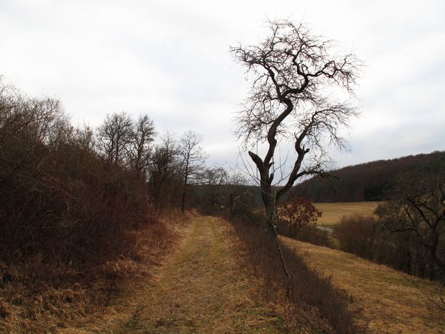 bei Steinbach: Kaisersgraben / Kirchholz