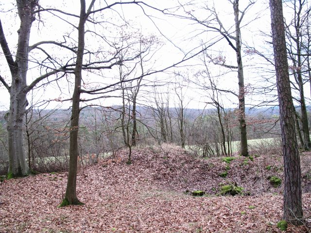 bei Steinbach: oberhalb vom Kirchholz