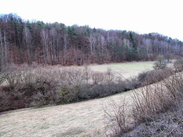 bei Steinbach: Kaisersgraben (zwischen Kirchholz & Kochholz)