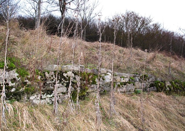 alte Weinbergsmauern im NSG Besselbergweinberge
