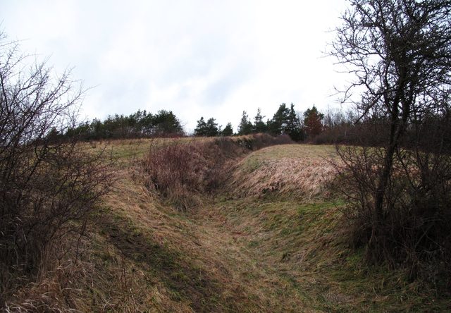 Kleiner Graben am Rand des NSG Besselbergweinberge