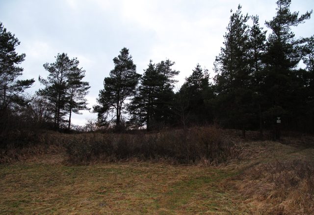 NSG Besselbergweinberge