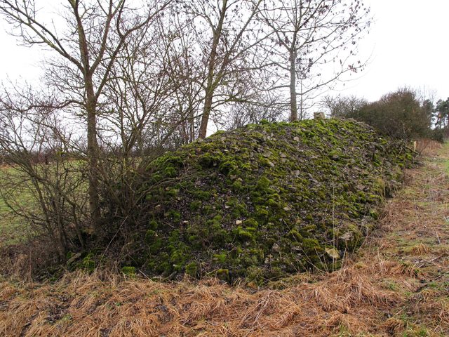 imposante Steinriegel auf dem Waltersberg (Grünsfeld)