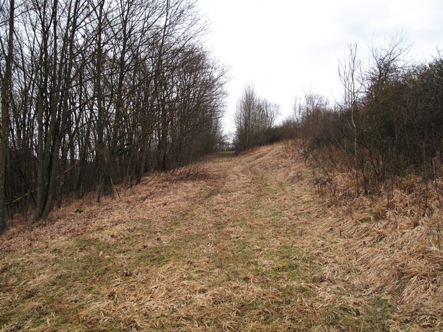 Aufstieg vom Giebelsberger Boden zum Geißberg