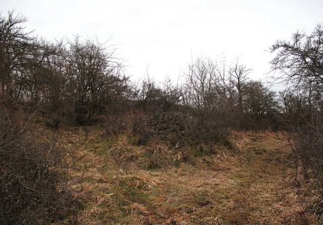 Steinhaufen auf dem Geißberg