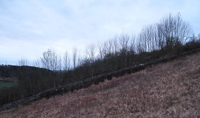 Steinriegel auf dem Geißberg