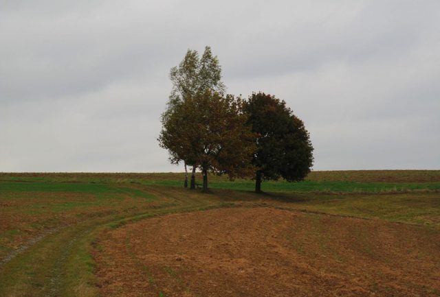 Schönes Ruheplätzchen auf der Steinbacher Höhe