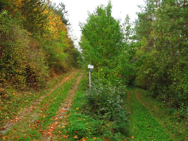 Abzweigung Franz-Dürr-Weg am Höhberg