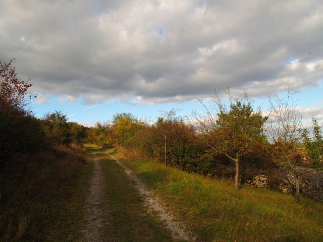 Auf dem Heiligenberg