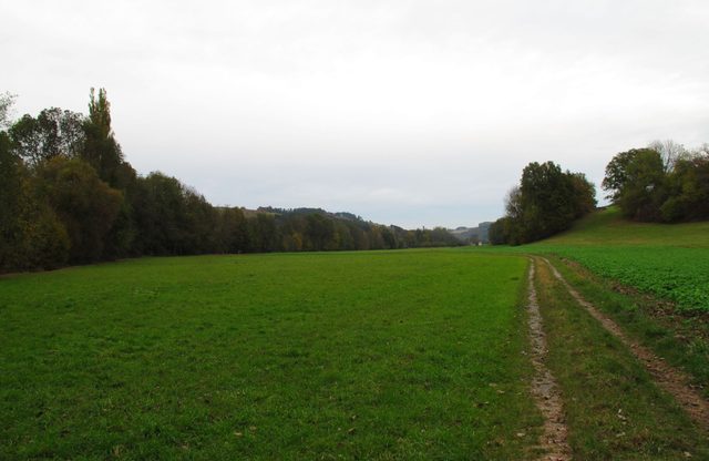 Welzbachtal: zwischen Schlund und Höhberg/ Bocksberg