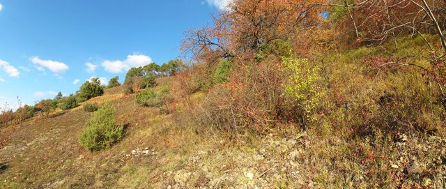 Panoramafoto: Am Westhang des Höhbergs (Werbach)
