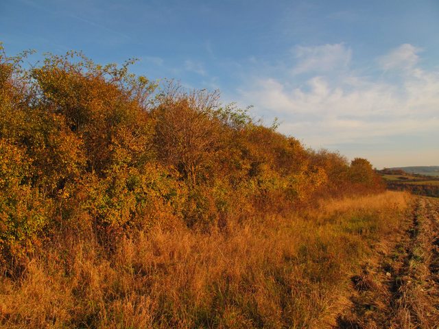 Auf dem Geiersberg