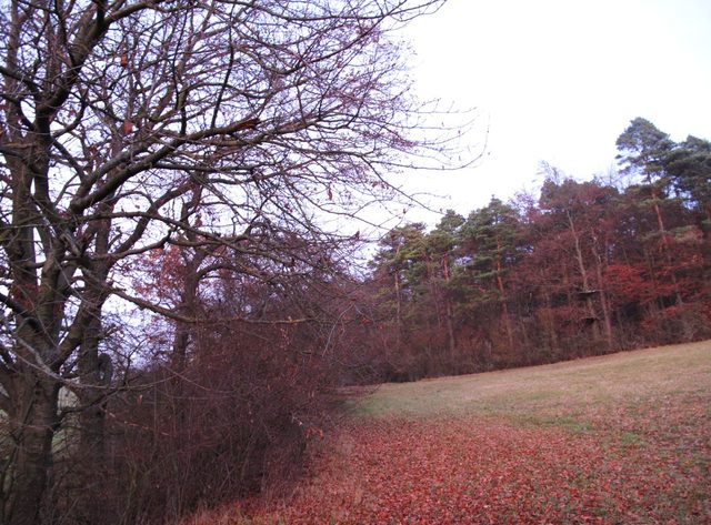 am Großen Heidberg
