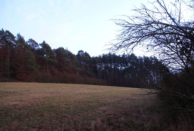 am Großen Heidberg