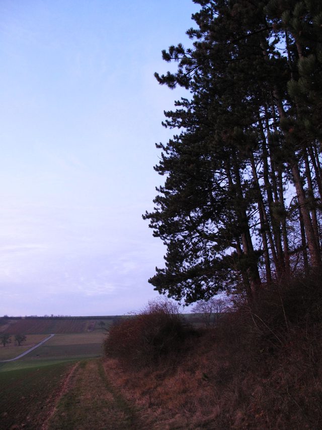 Blick vom Großen Heidberg über den Königsgrund zum Kattenberg