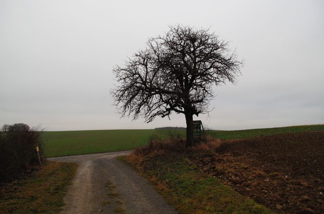 Auf dem Giebelsberg