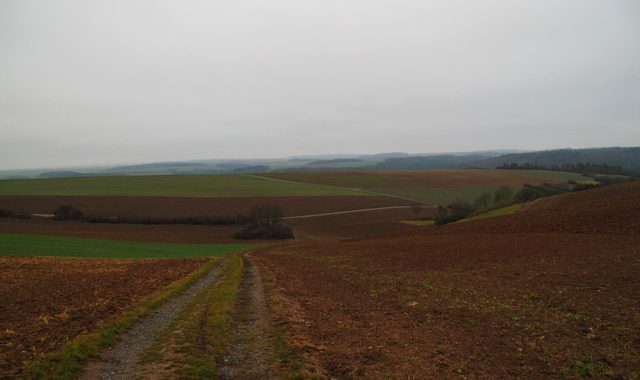 Blick vom Giebelsberg in den Geißberggraben