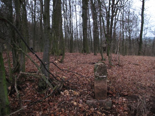 Grenzstein von 1752 am Waldrand auf dem Griesberg