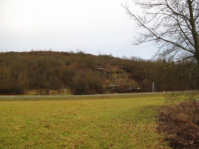 Der Tauberberg an der B 290 zwischen Gerlachsheim und Marbach vom Tauberufer aus