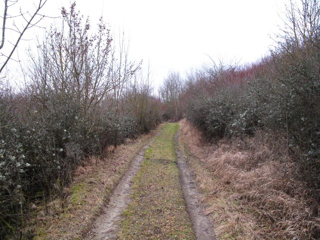 Auf dem Weg am Tauberberg nach Gerlachsheim