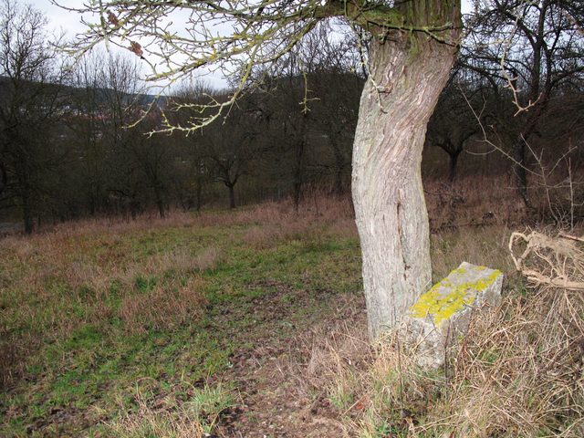 Auf dem Tauberberg