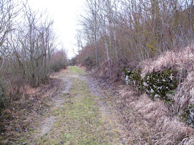 Auf dem Weg am Tauberberg nach Gerlachsheim