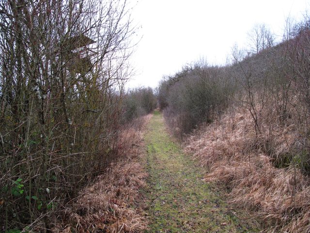 Auf dem Weg am Tauberberg nach Gerlachsheim
