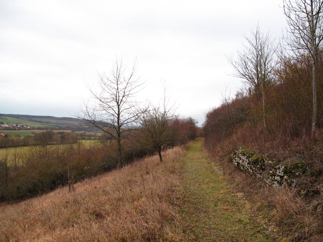 Auf dem Weg am Tauberberg nach Gerlachsheim