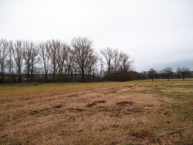 Wörth/ Renig - zwischen Tauberbrücke Lauda und Gerlachsheim