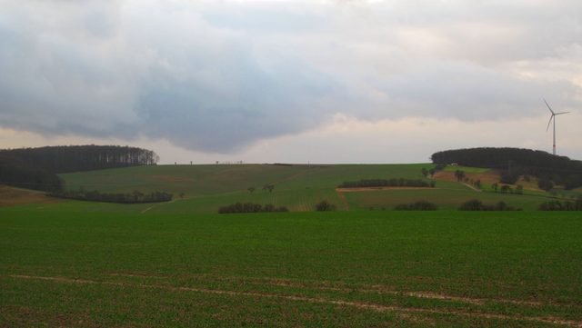 Blick vom 'Gipfel' des Schellenbaum (330 m) nach Osten
