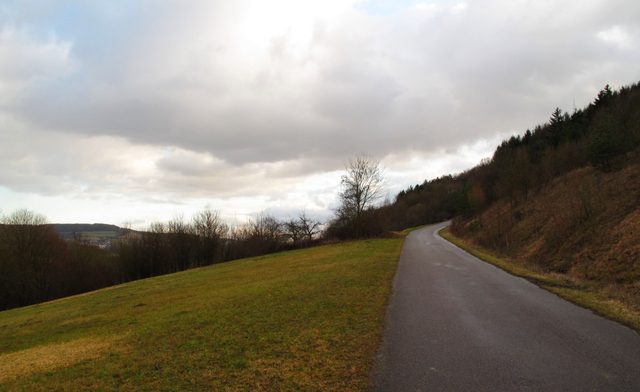 Auf dem Weg hoch zum Großen Holz