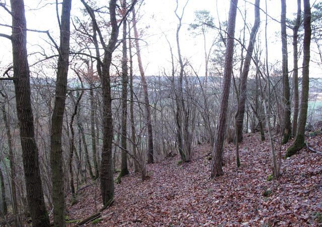 Großes Holz - Herbel