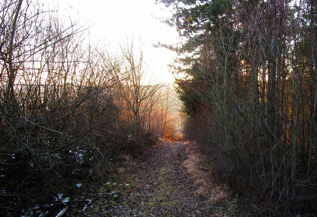 Am Westhang des Frauenbergs